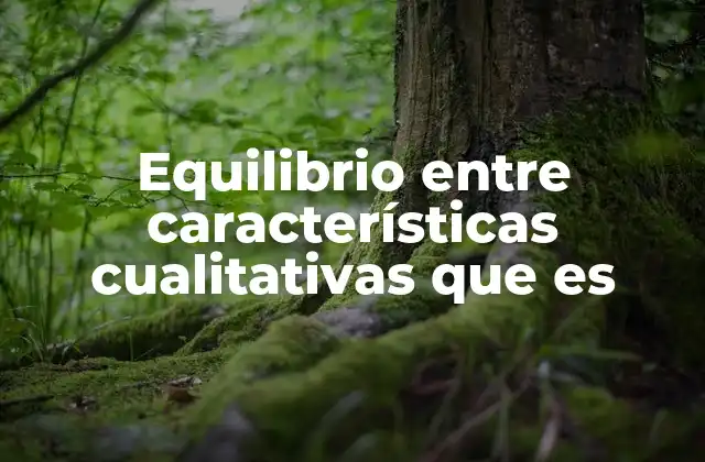 Equilibrio entre Características Cualitativas que es