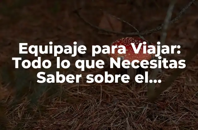 Equipaje para Viajar: Todo Lo que Necesitas Saber sobre el Conjunto de Cosas que Se Llevan en los Viajes