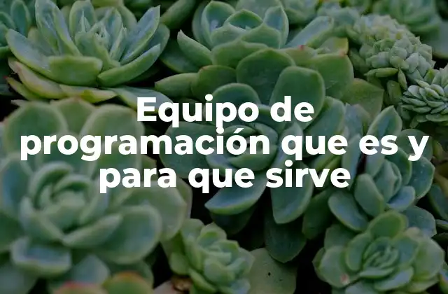 Equipo de Programación que es y para que Sirve