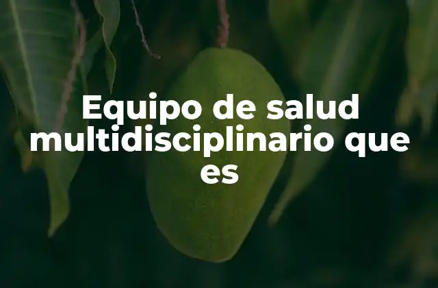 Equipo de Salud Multidisciplinario que es