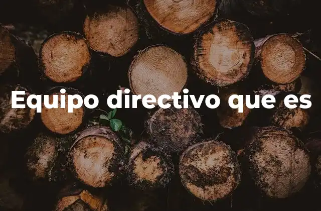 Equipo Directivo que es