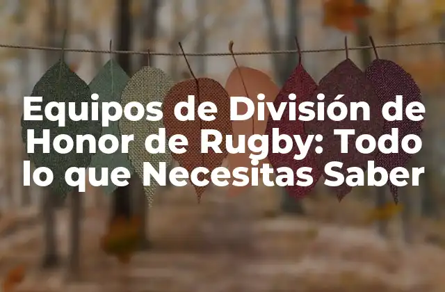 Equipos de División de Honor de Rugby: Todo Lo que Necesitas Saber 2 Historia de la División de Honor de Rugby en España