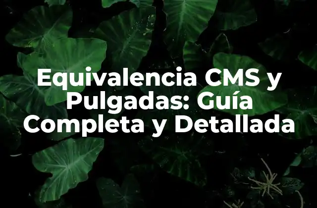 Equivalencia Cms y Pulgadas: Guía Completa y Detallada