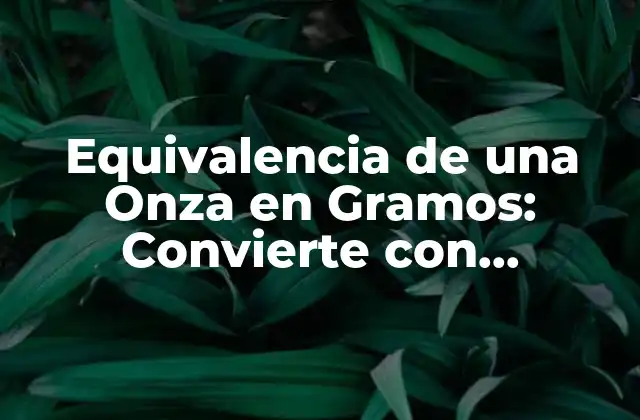 Equivalencia de una Onza en Gramos: Convierte con Confianza