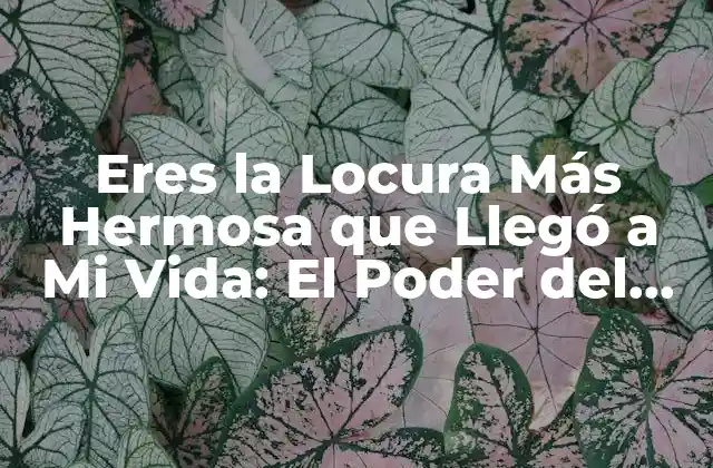Eres la Locura Más Hermosa que Llegó a Mi Vida: el Poder Del Amor