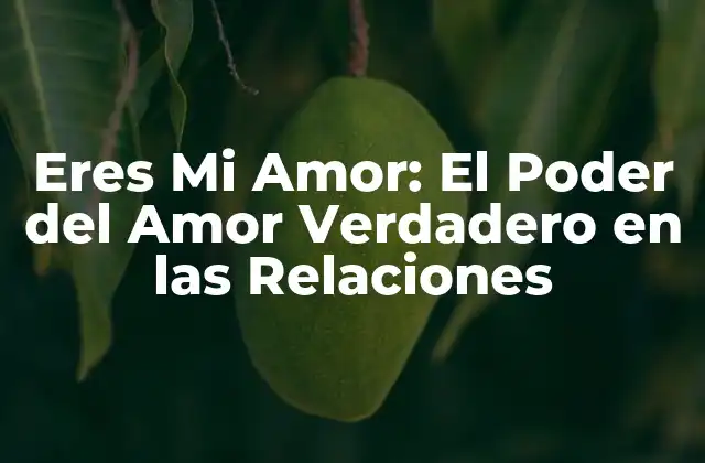 Eres Mi Amor: el Poder Del Amor Verdadero en las Relaciones