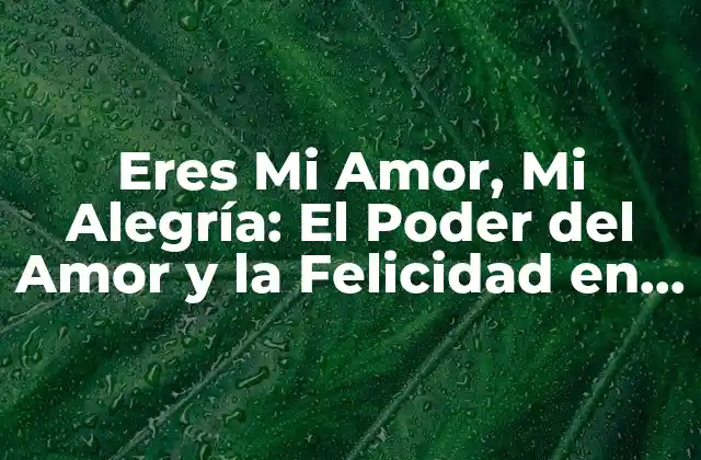 Eres Mi Amor, Mi Alegría: el Poder Del Amor y la Felicidad en las Relaciones