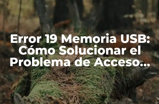 Error 19 Memoria Usb: Cómo Solucionar el Problema de Acceso Denegado