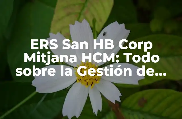 Ers San Hb Corp Mitjana Hcm: Todo sobre la Gestión de Capital Humano
