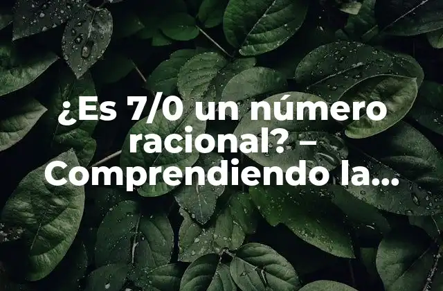 Definición de número racional