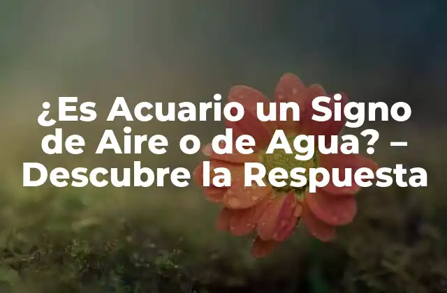 ¿es Acuario un Signo de Aire o de Agua? – Descubre la Respuesta