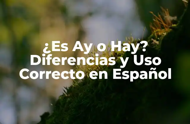 ¿Qué es Ay? Definición y Uso Correcto