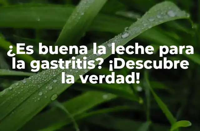 ¿es Buena la Leche para la Gastritis? ¡descubre la Verdad! 2 ¿Qué es la gastritis y cómo se desarrolla?