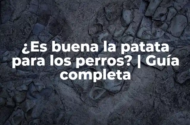 ¿es Buena la Patata para los Perros? | Guía Completa