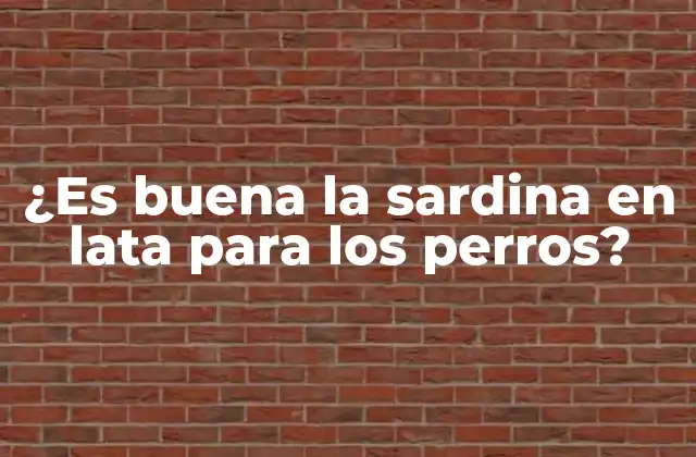 ¿es Buena la Sardina en Lata para los Perros?