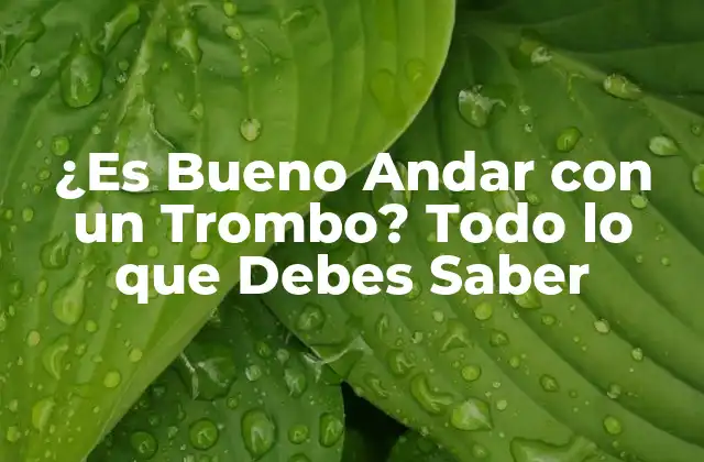 ¿es Bueno Andar con un Trombo? Todo Lo que Debes Saber