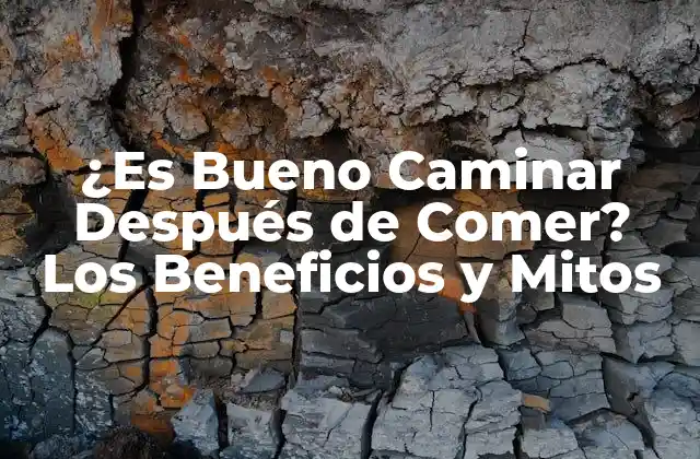 ¿es Bueno Caminar Después de Comer? los Beneficios y Mitos