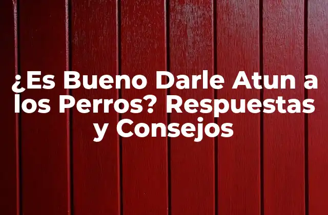 ¿es Bueno Darle Atun a los Perros? Respuestas y Consejos
