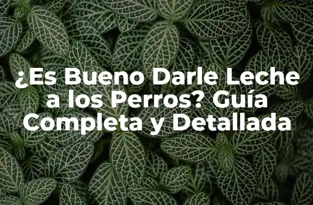 ¿es Bueno Darle Leche a los Perros? Guía Completa y Detallada