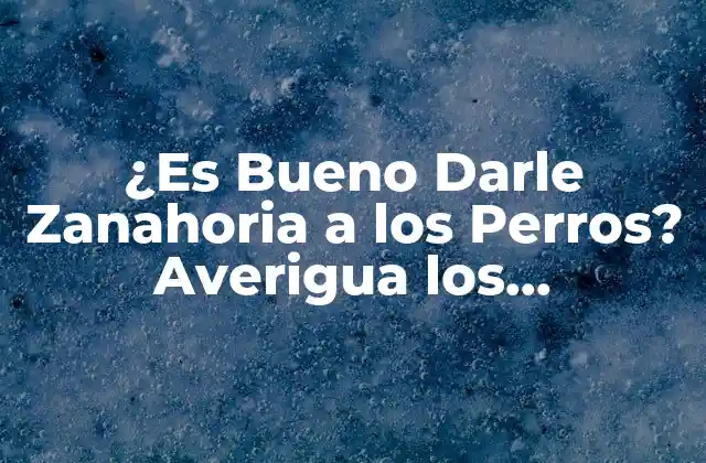 ¿es Bueno Darle Zanahoria a los Perros? Averigua los Beneficios y Riesgos