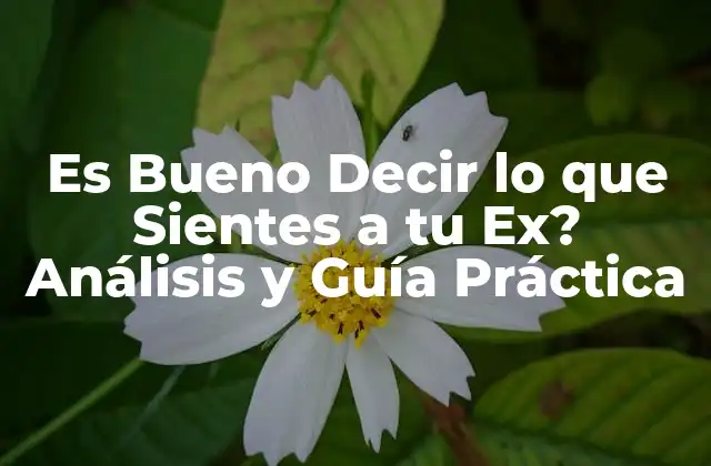 Es Bueno Decir Lo que Sientes a Tu Ex? Análisis y Guía Práctica