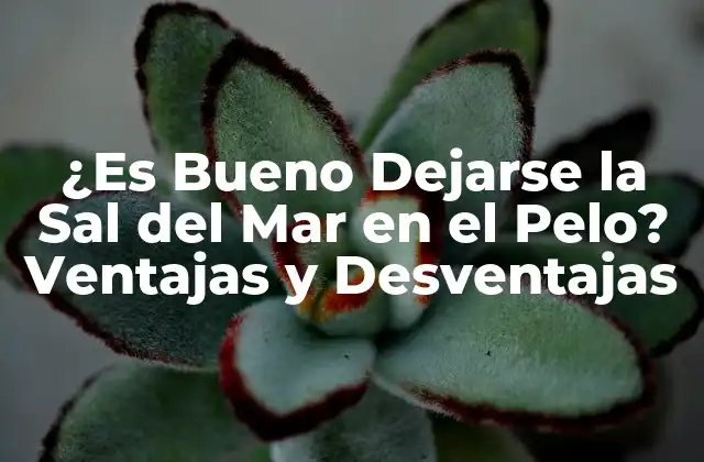 ¿es Bueno Dejarse la Sal Del Mar en el Pelo? Ventajas y Desventajas