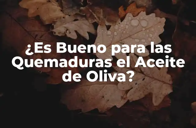 ¿es Bueno para las Quemaduras el Aceite de Oliva? 2 Las Propiedades del Aceite de Oliva que lo Hacen Útil para las Quemaduras