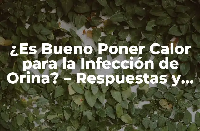 ¿es Bueno Poner Calor para la Infección de Orina? – Respuestas y Cuidados