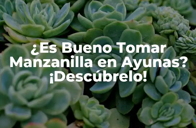 ¿es Bueno Tomar Manzanilla en Ayunas? ¡descúbrelo!