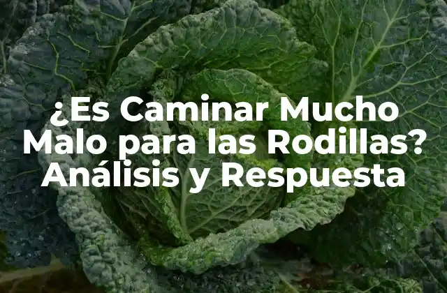 ¿es Caminar Mucho Malo para las Rodillas? Análisis y Respuesta