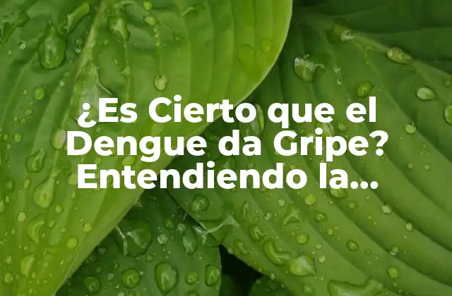 ¿es Cierto que el Dengue Da Gripe? Entendiendo la Relación entre el Dengue y la Fiebre