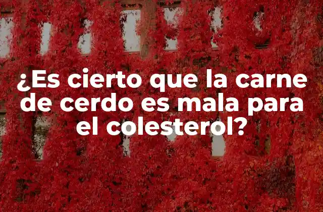 ¿es Cierto que la Carne de Cerdo es Mala para el Colesterol?