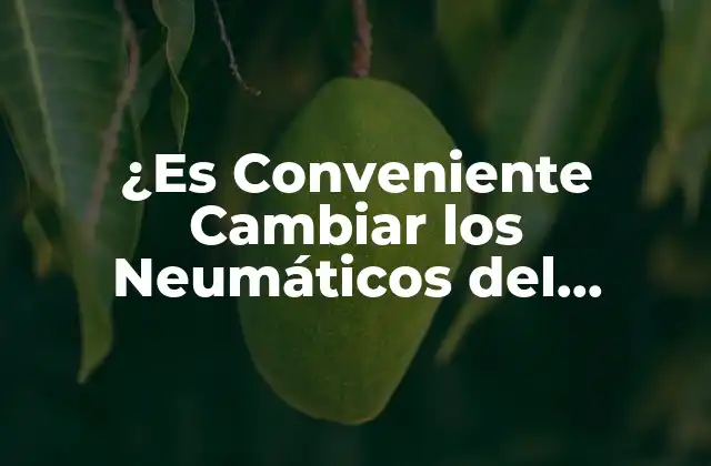 ¿es Conveniente Cambiar los Neumáticos Del Vehículo por Temporada? Guía Completa