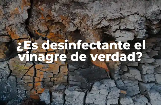 ¿es Desinfectante el Vinagre de Verdad?