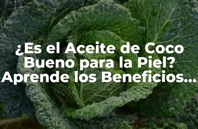 ¿es el Aceite de Coco Bueno para la Piel? Aprende los Beneficios y Usos