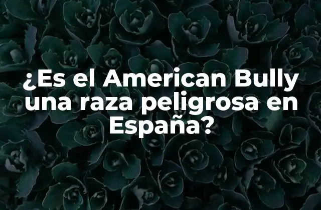 ¿es el American Bully una Raza Peligrosa en España?