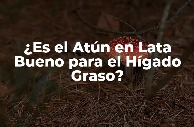 ¿es el Atún en Lata Bueno para el Hígado Graso?