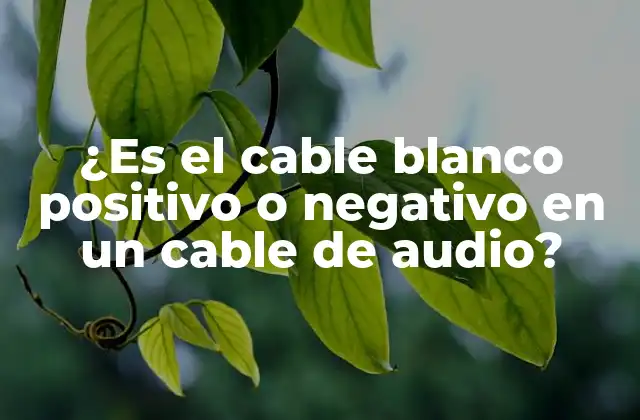 ¿es el Cable Blanco Positivo o Negativo en un Cable de Audio?