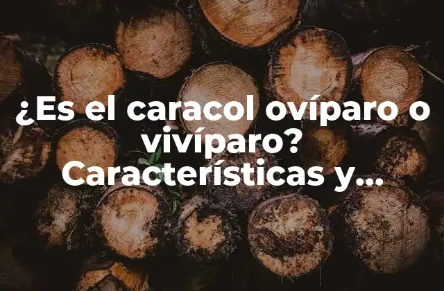 ¿es el Caracol Ovíparo o Vivíparo? Características y Curiosidades