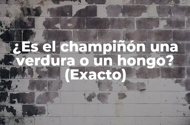 ¿es el Champiñón una Verdura o un Hongo? (exacto)