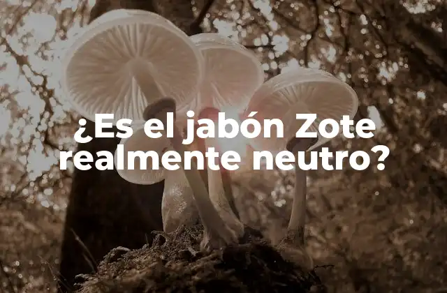 ¿es el Jabón Zote Realmente Neutro? 2 ¿Qué es un jabón neutro?