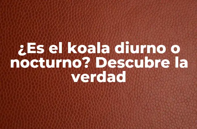 ¿es el Koala Diurno o Nocturno? Descubre la Verdad