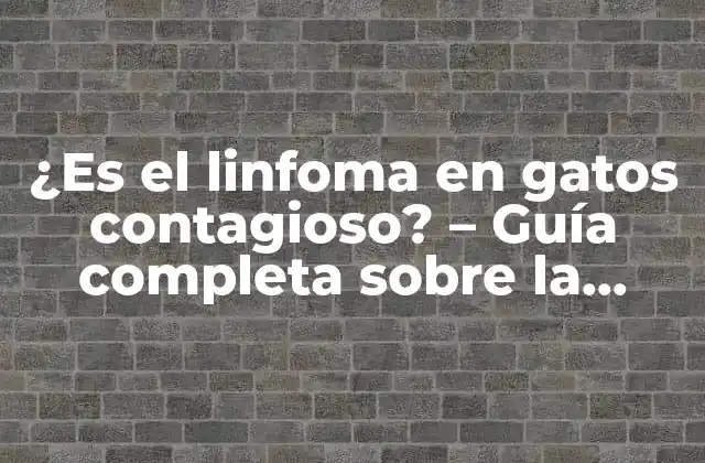 ¿es el Linfoma en Gatos Contagioso? – Guía Completa sobre la Enfermedad