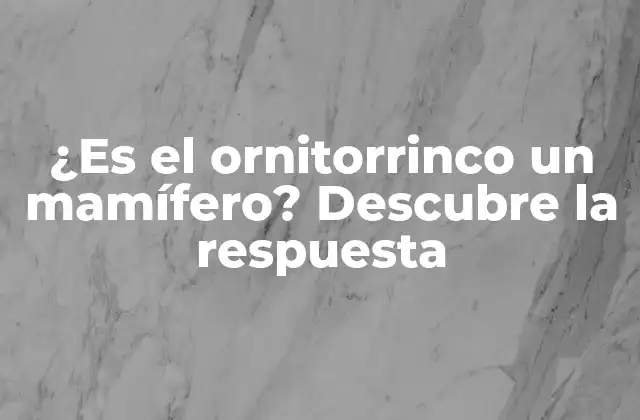 ¿es el Ornitorrinco un Mamífero? Descubre la Respuesta