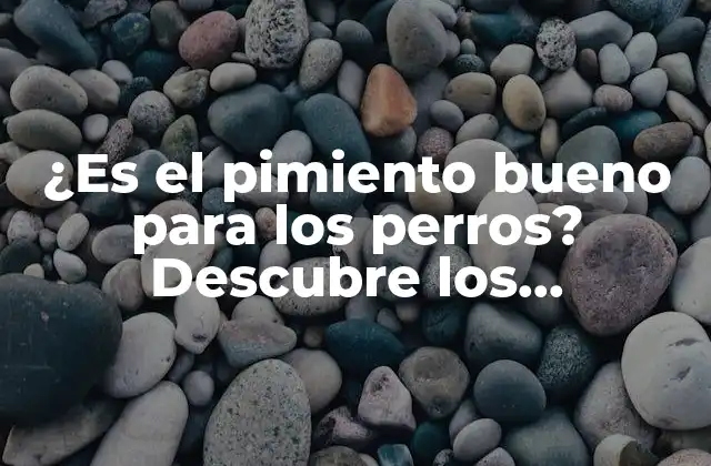 ¿es el Pimiento Bueno para los Perros? Descubre los Beneficios y Riesgos