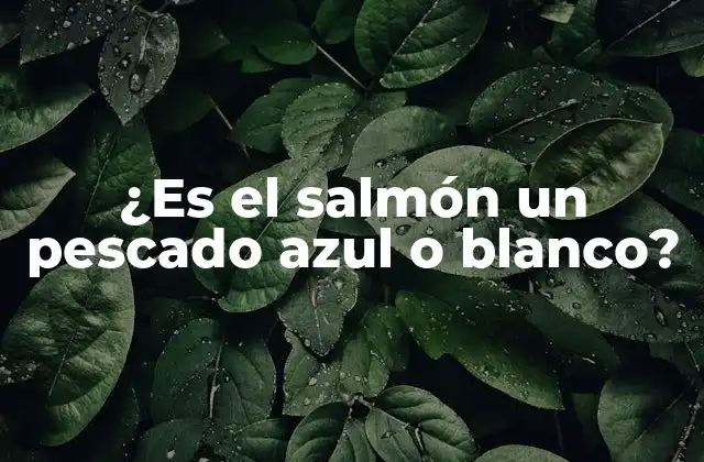 ¿es el Salmón un Pescado Azul o Blanco?