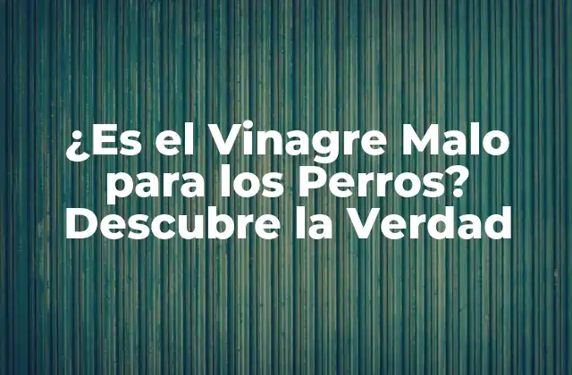 ¿es el Vinagre Malo para los Perros? Descubre la Verdad
