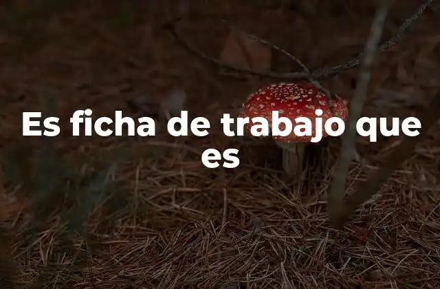 Es Ficha de Trabajo que es