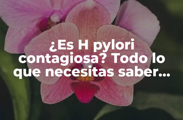 ¿es H Pylori Contagiosa? Todo Lo que Necesitas Saber sobre la Transmisión de H Pylori