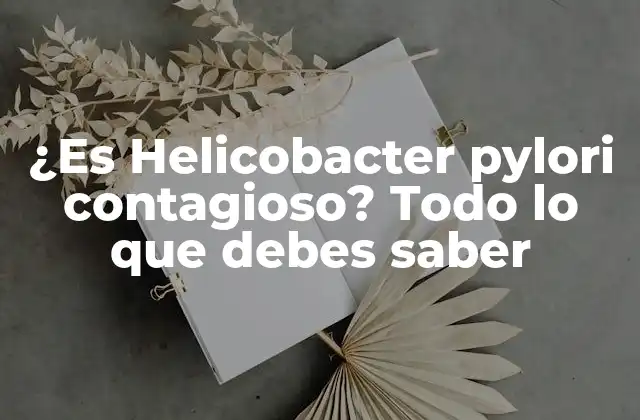 ¿es Helicobacter Pylori Contagioso? Todo Lo que Debes Saber
